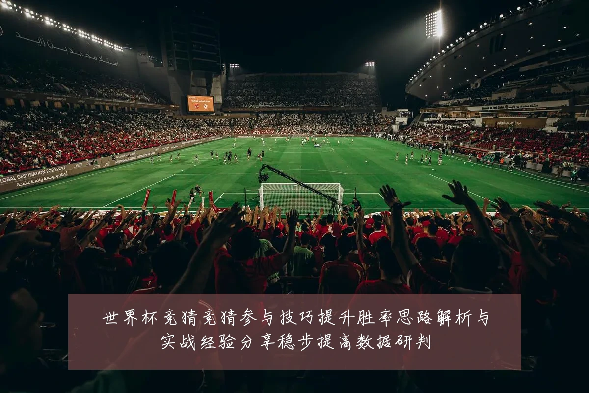 世界杯竞猜竞猜参与技巧提升胜率思路解析与实战经验分享稳步提高数据研判