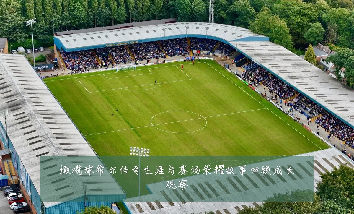 橄榄球希尔传奇生涯与赛场荣耀故事回顾成长观察